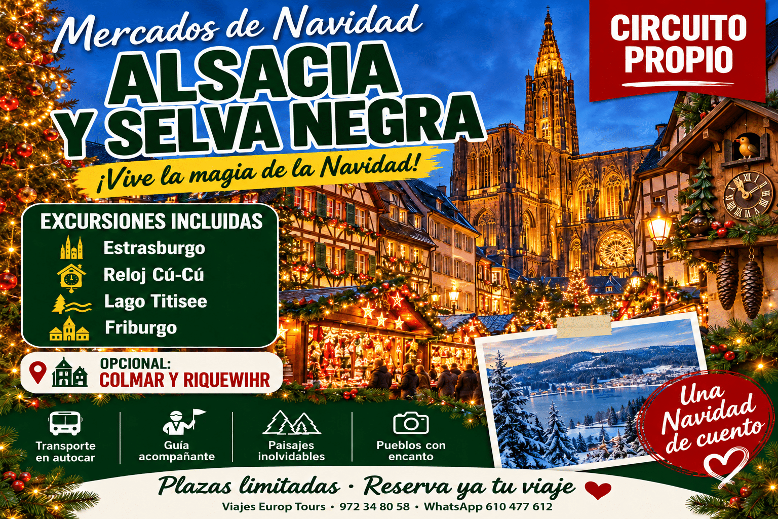 Alsacia y Selva Negra Mercados de Navidad 2026