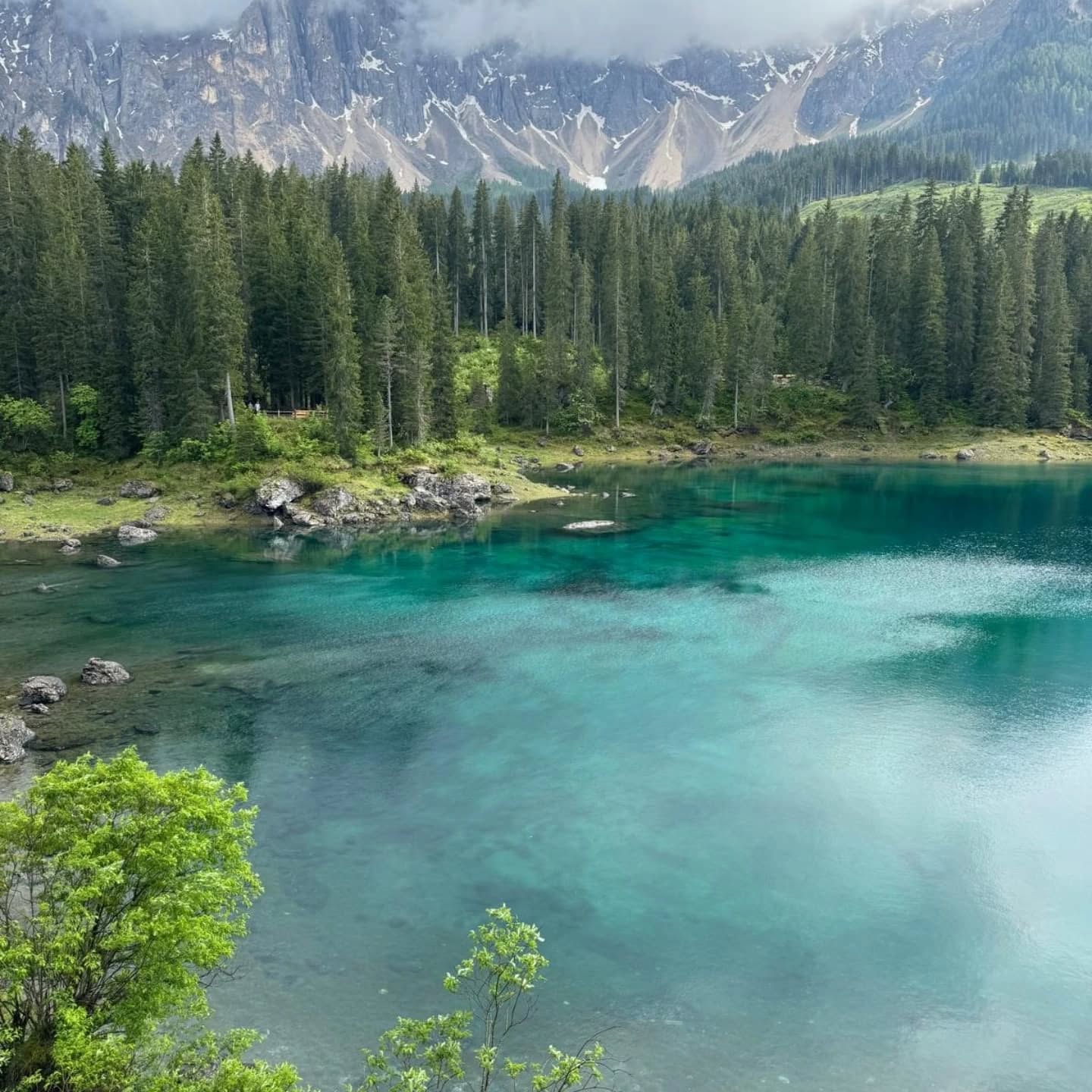 La Selva Negra (Alemania) 2026 - Imagen 2