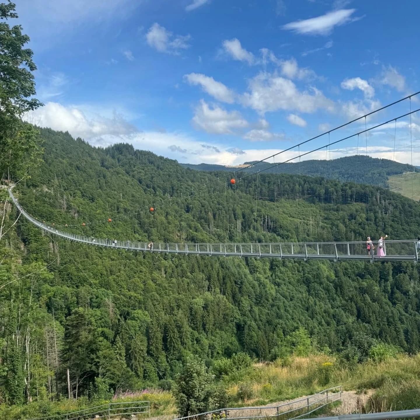 La Selva Negra (Alemania) 2026 - Imagen 11