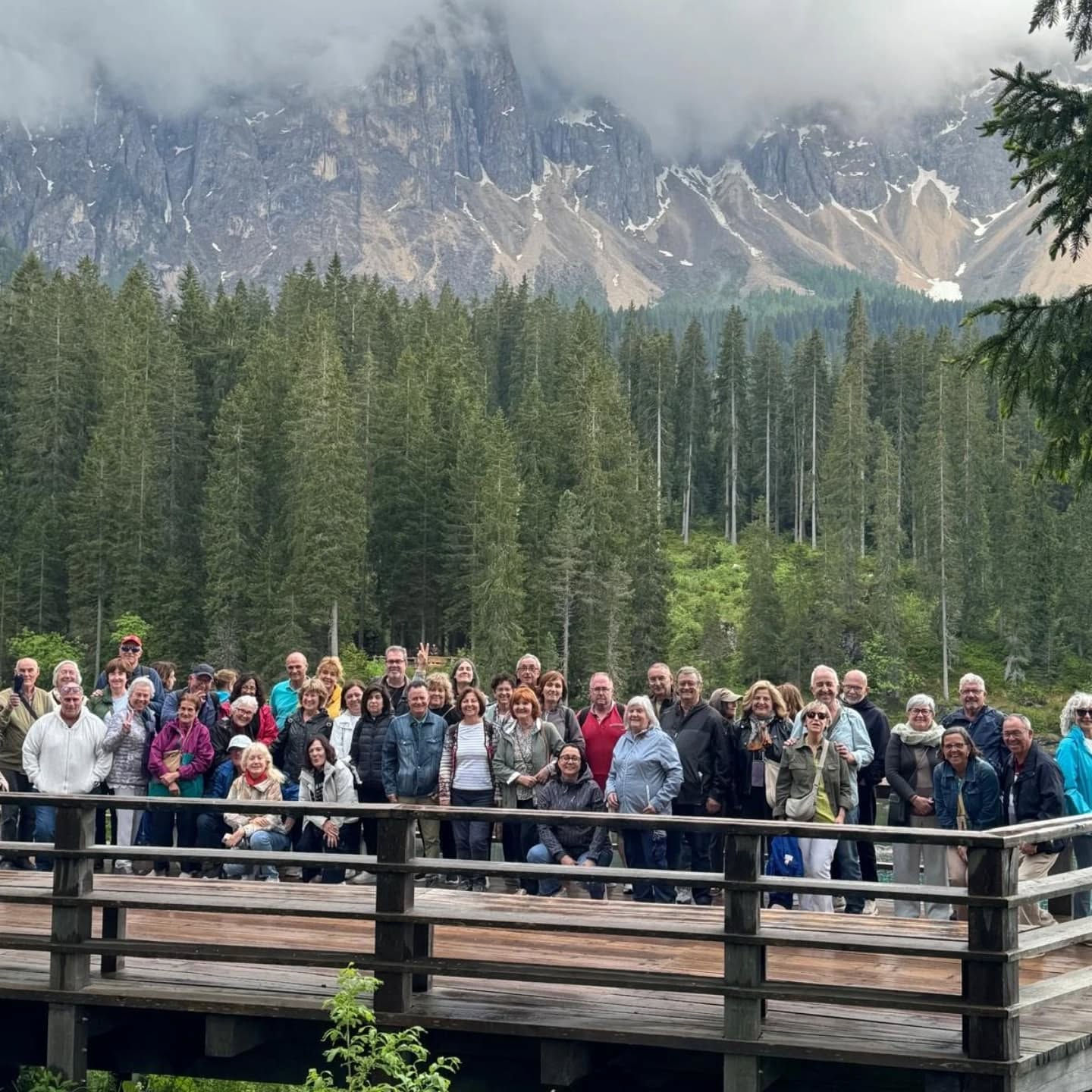 La Selva Negra (Alemania) 2026 - Imagen 3
